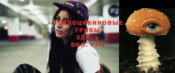 скорость Алзамай
