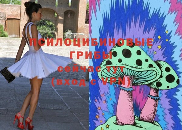 скорость Алзамай