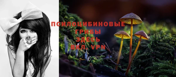 скорость Алзамай