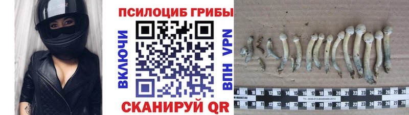 Псилоцибиновые грибы GOLDEN TEACHER где купить Бирюч